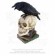 Crâne Poes Raven